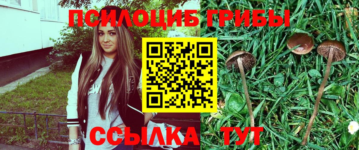 Псилоцибиновые грибы Psilocybe  Галлюциногенные грибы ЛСД  Ханты-Мансийск 