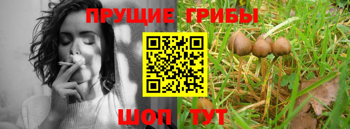 где купить наркоту  Галлюциногенные грибы MAGIC MUSHROOMS  Вход с VPN  Ханты-Мансийск 